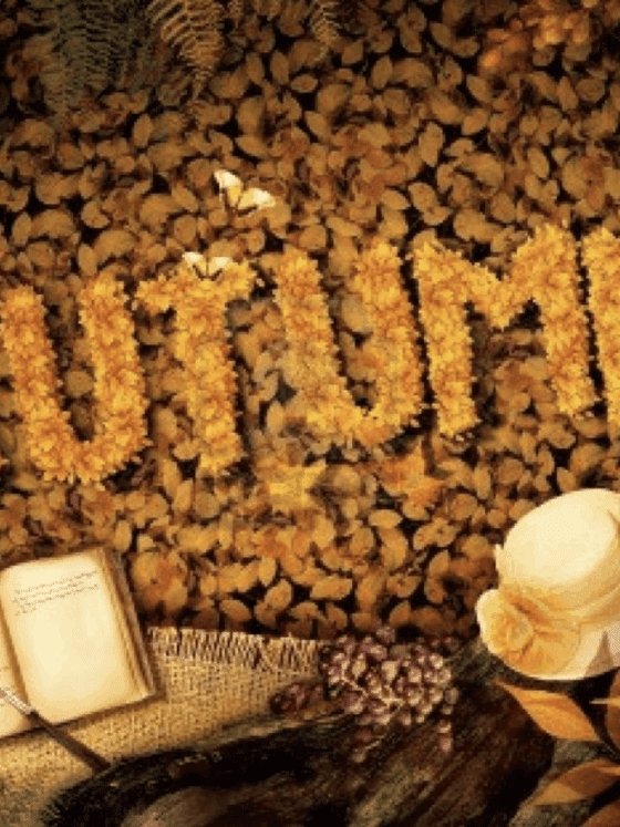 Welcome to Autumn