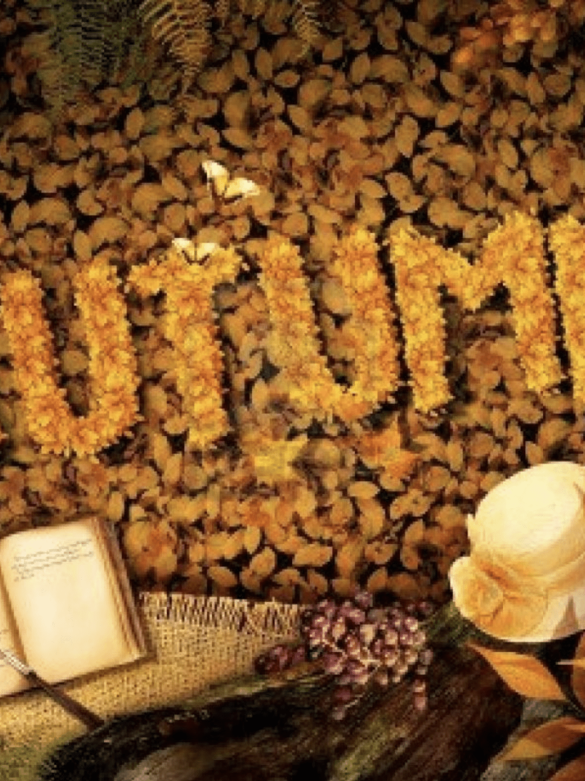 Welcome to Autumn